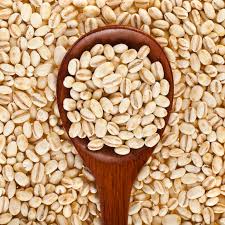 BARLEY SEEDS