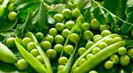 GREEN PEA