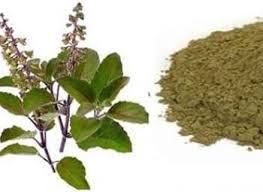 KRISHNA TULASI POWDER