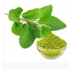 RAMA TULASI POWDER