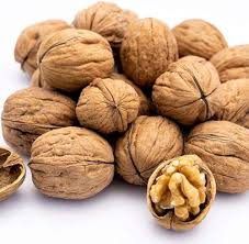 WALNUT BOLD