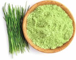 Wheatgrass Powder