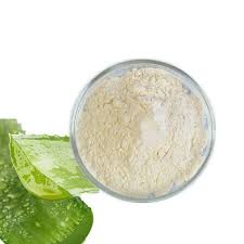 ALOE VERA GEL POWDER