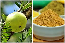 BHOOMI AMLA POWDER