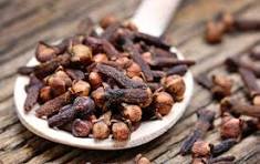 CLOVE