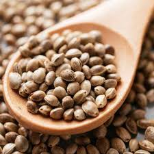 HEMP SEEDS