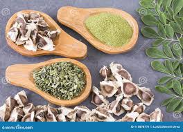 MORINGA SEED POWDER