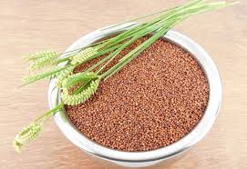 RAGI MILLET
