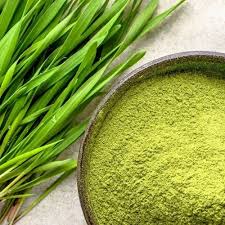 WHEAT GRASS